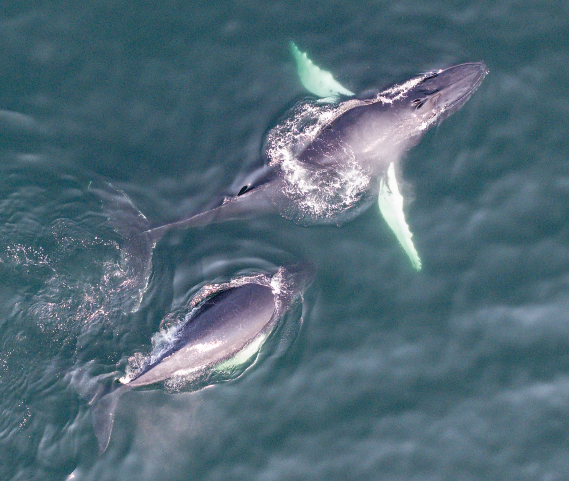 Surfacing pair